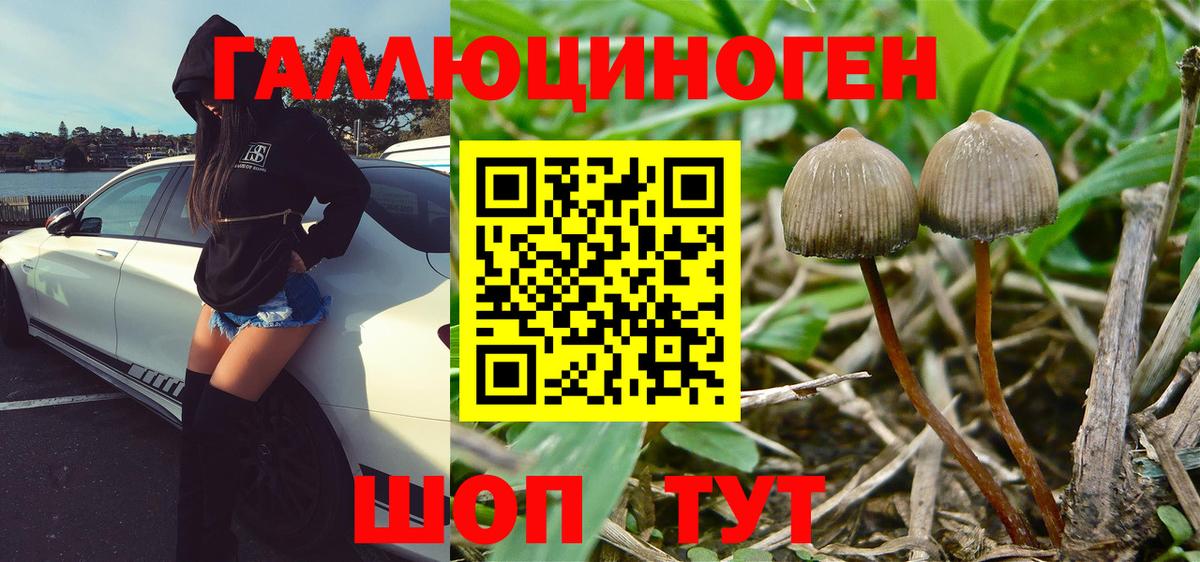 Галлюциногенные грибы Magic Shrooms Калуга